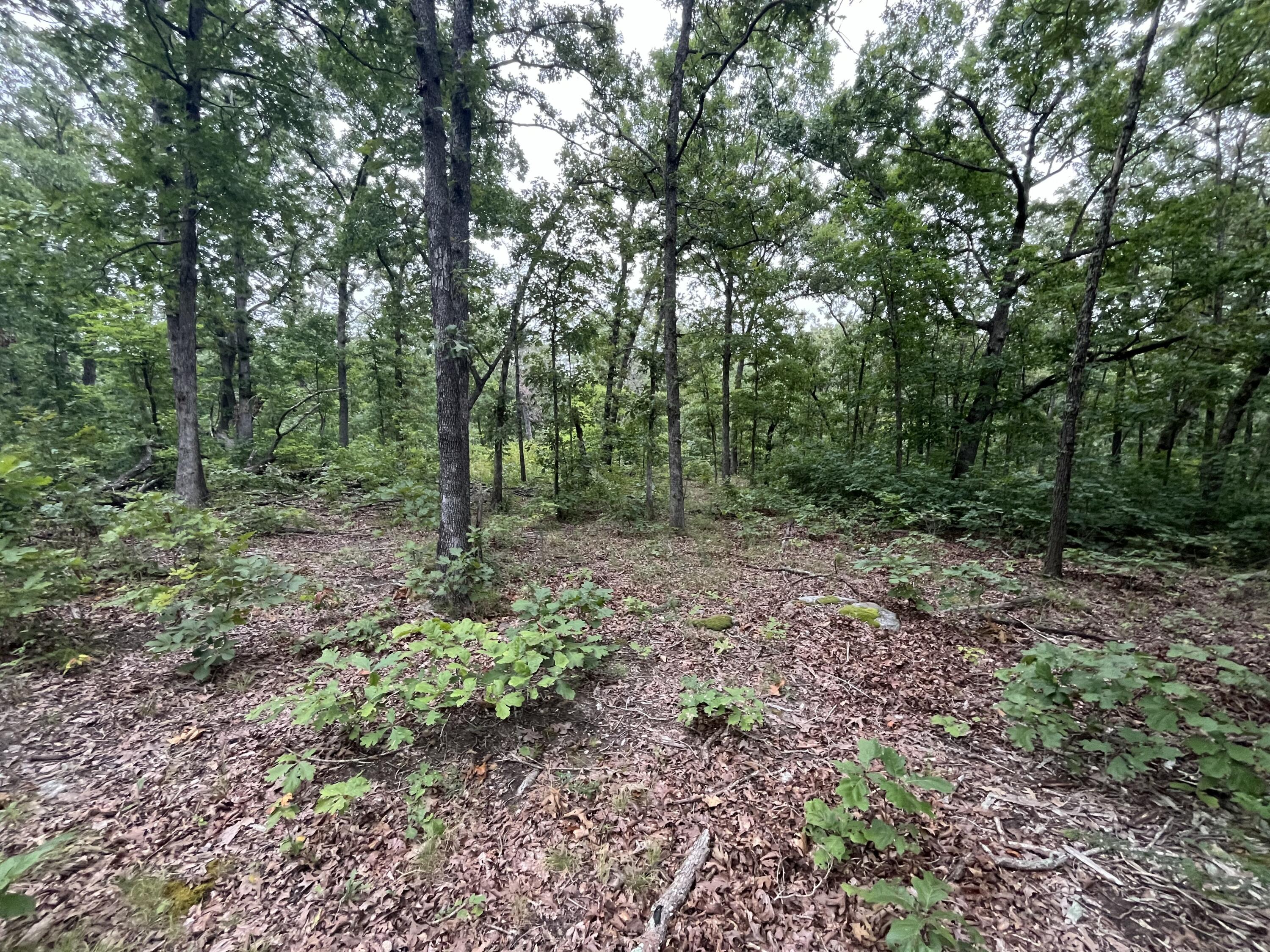 000 Partridge Drive Property Photo 15