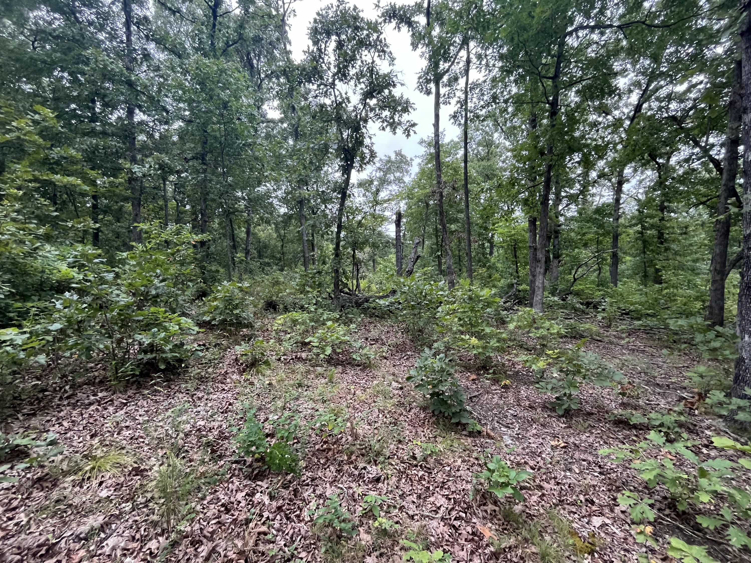 000 Partridge Drive Property Photo 16
