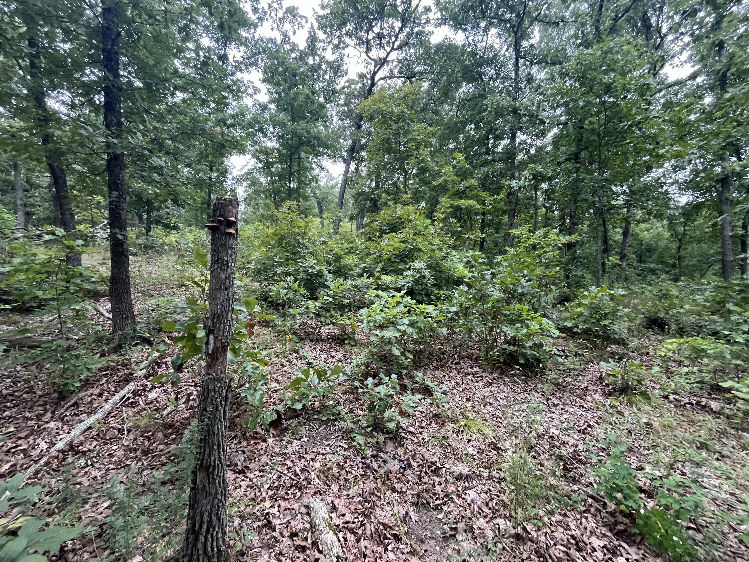 000 Partridge Drive Property Photo 17