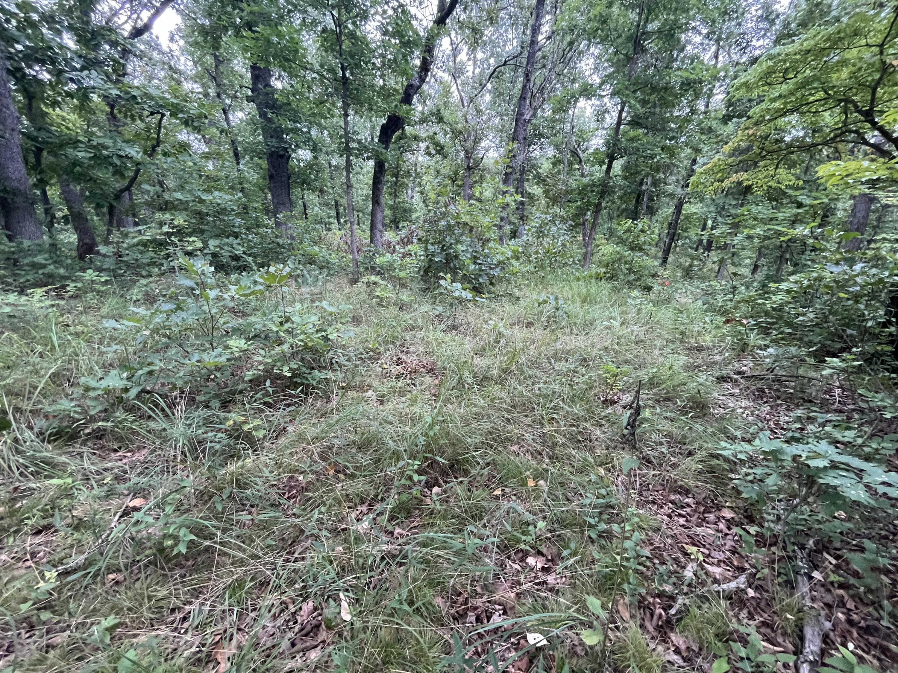 000 Partridge Drive Property Photo 18
