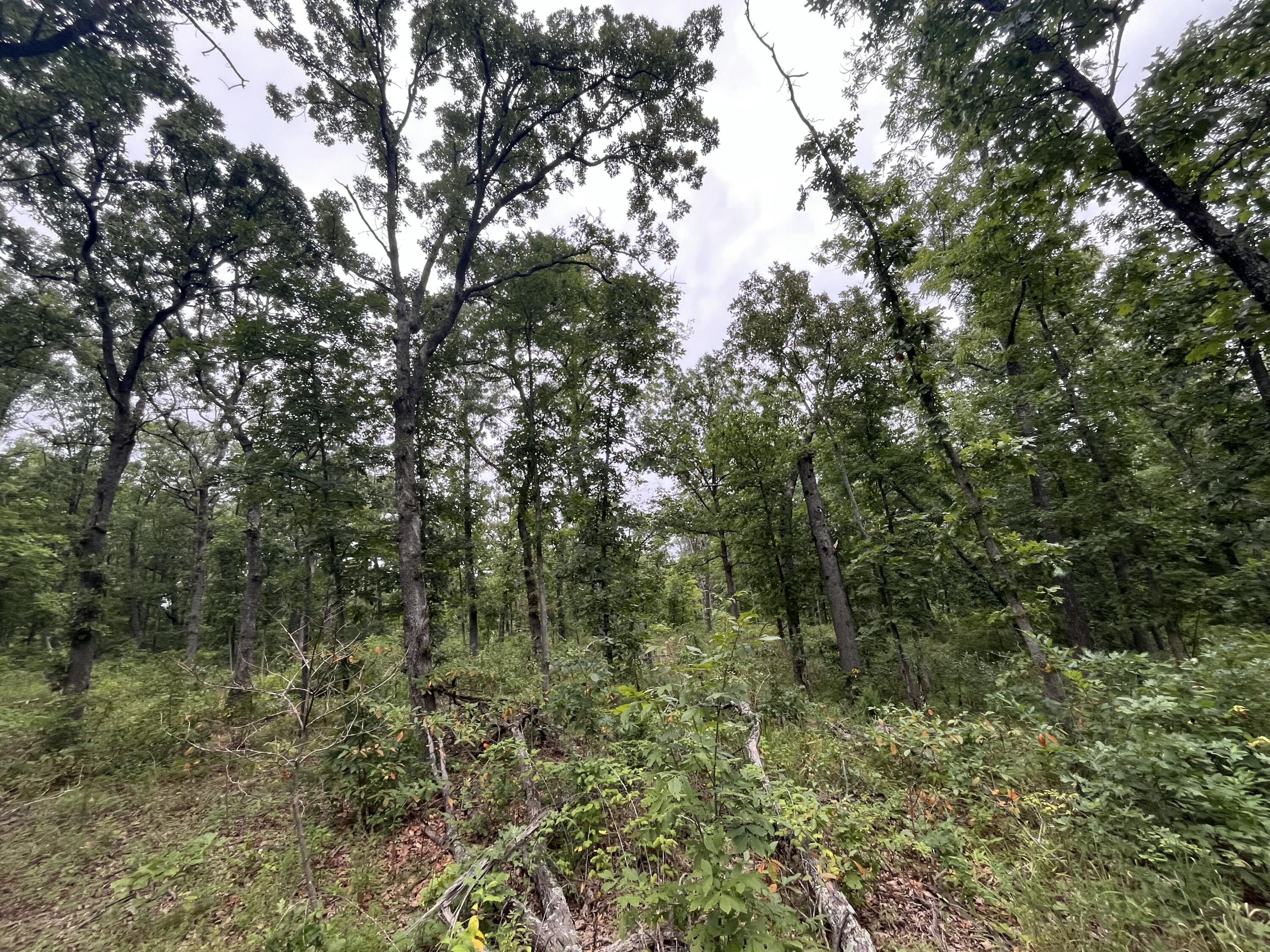 000 Partridge Drive Property Photo 21