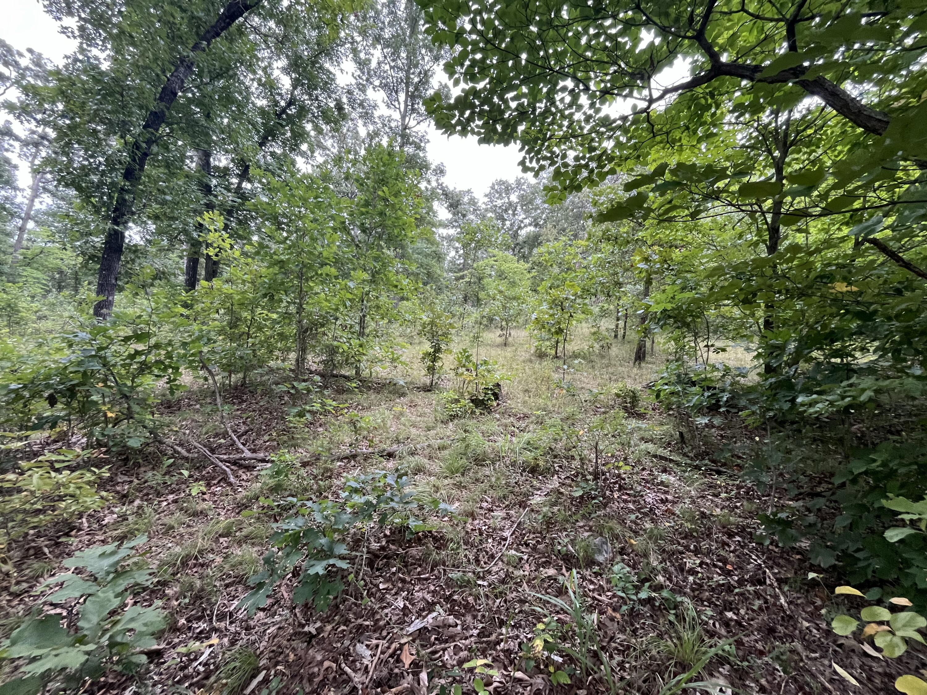 000 Partridge Drive Property Photo 31