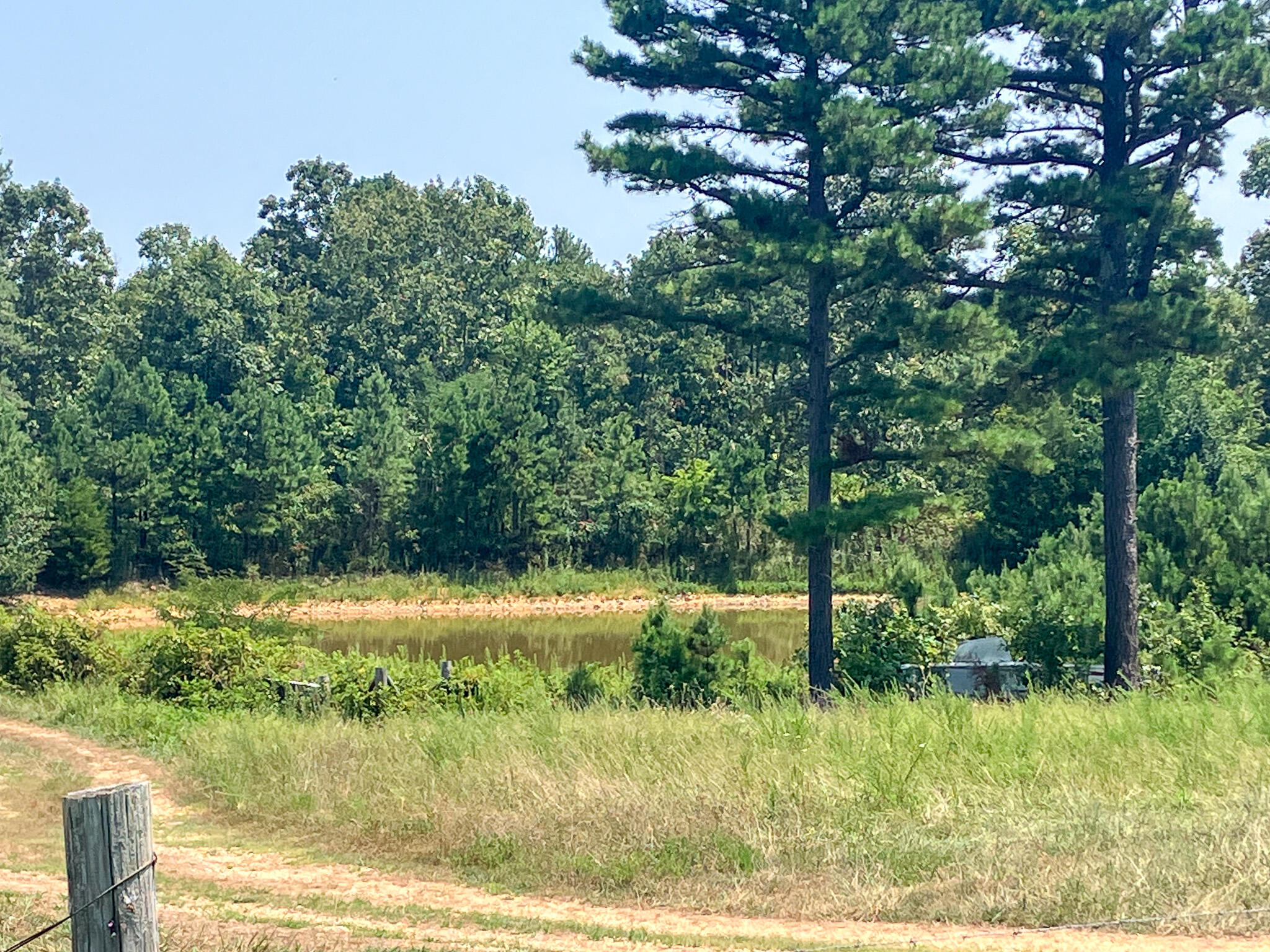 5829 County Road 464 Property Photo 39