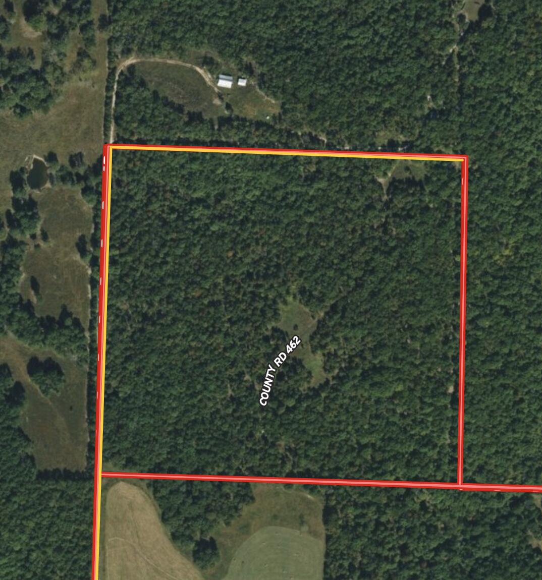 000 County Road 462 Property Photo 1