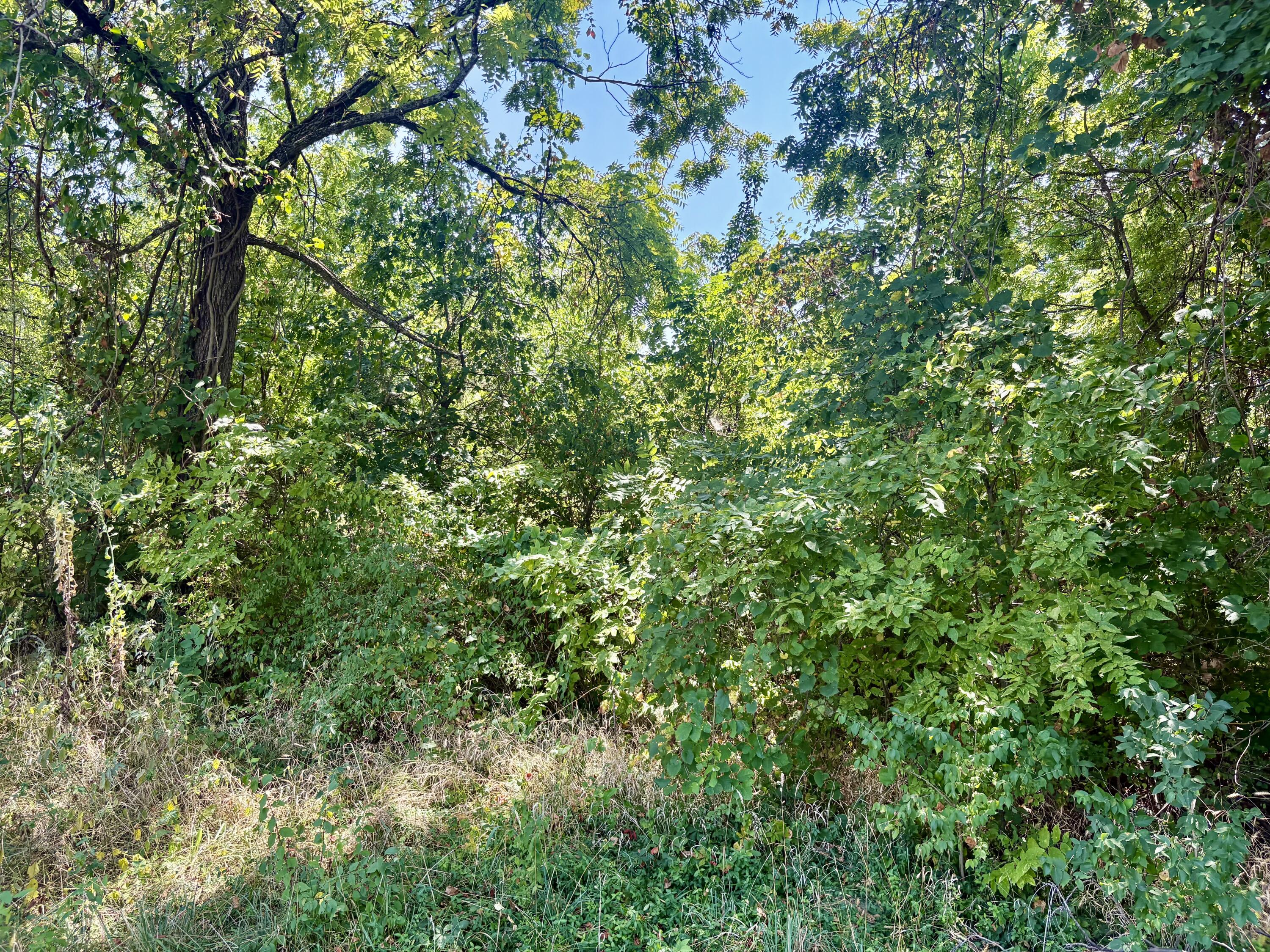 665 Meng Street Property Photo 5