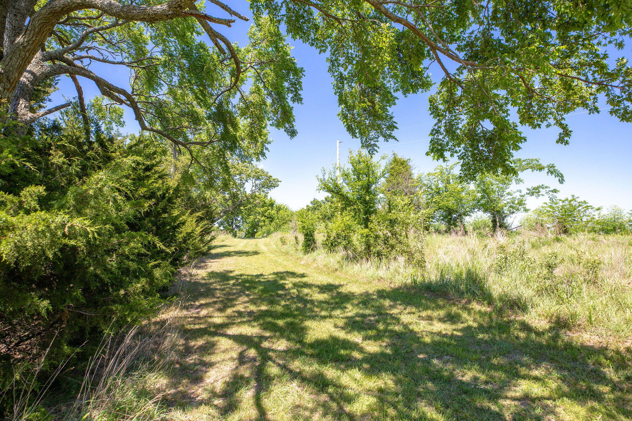Tbd Wolf Trail Property Photo 6