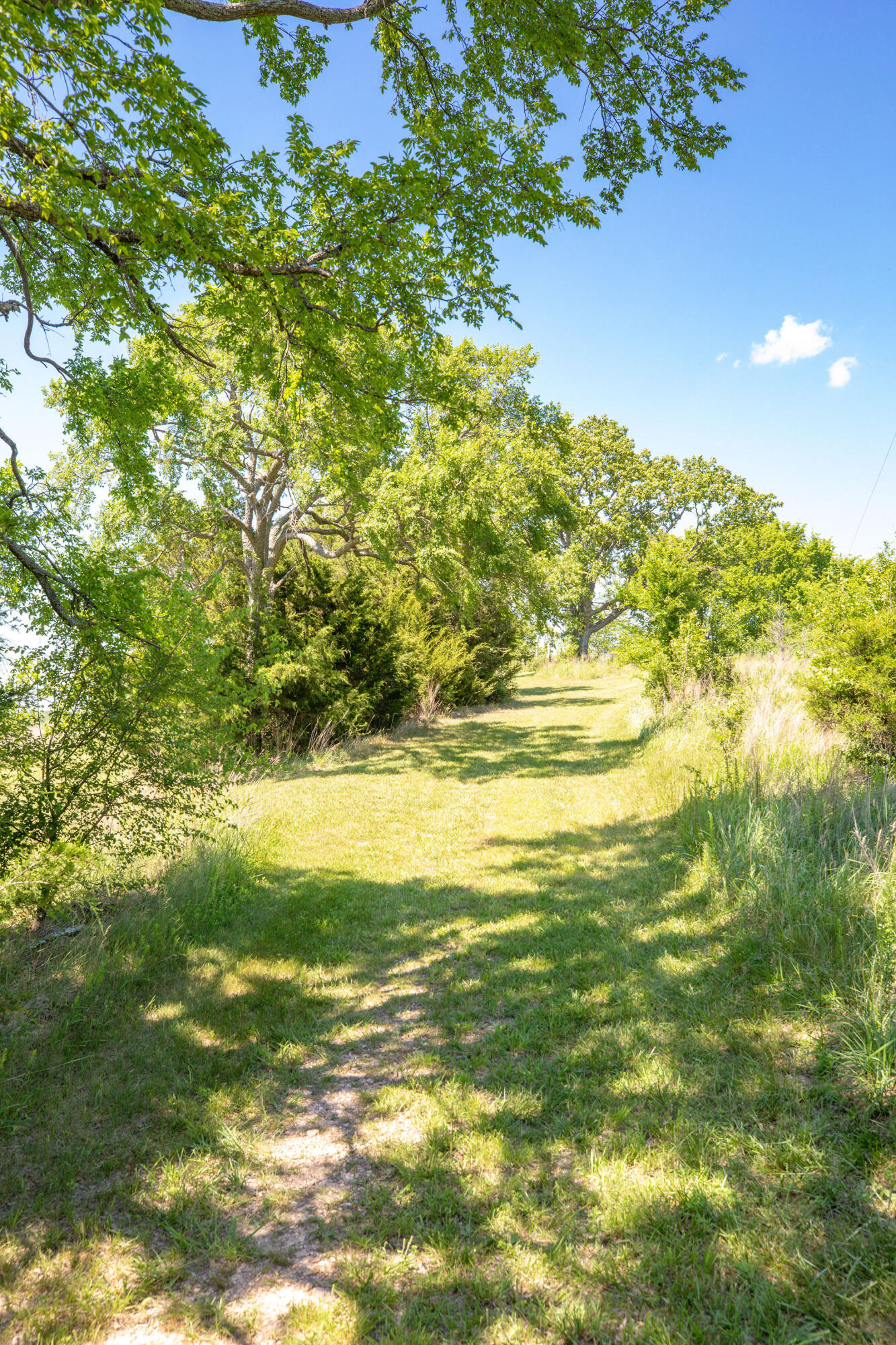 Tbd Wolf Trail Property Photo 11