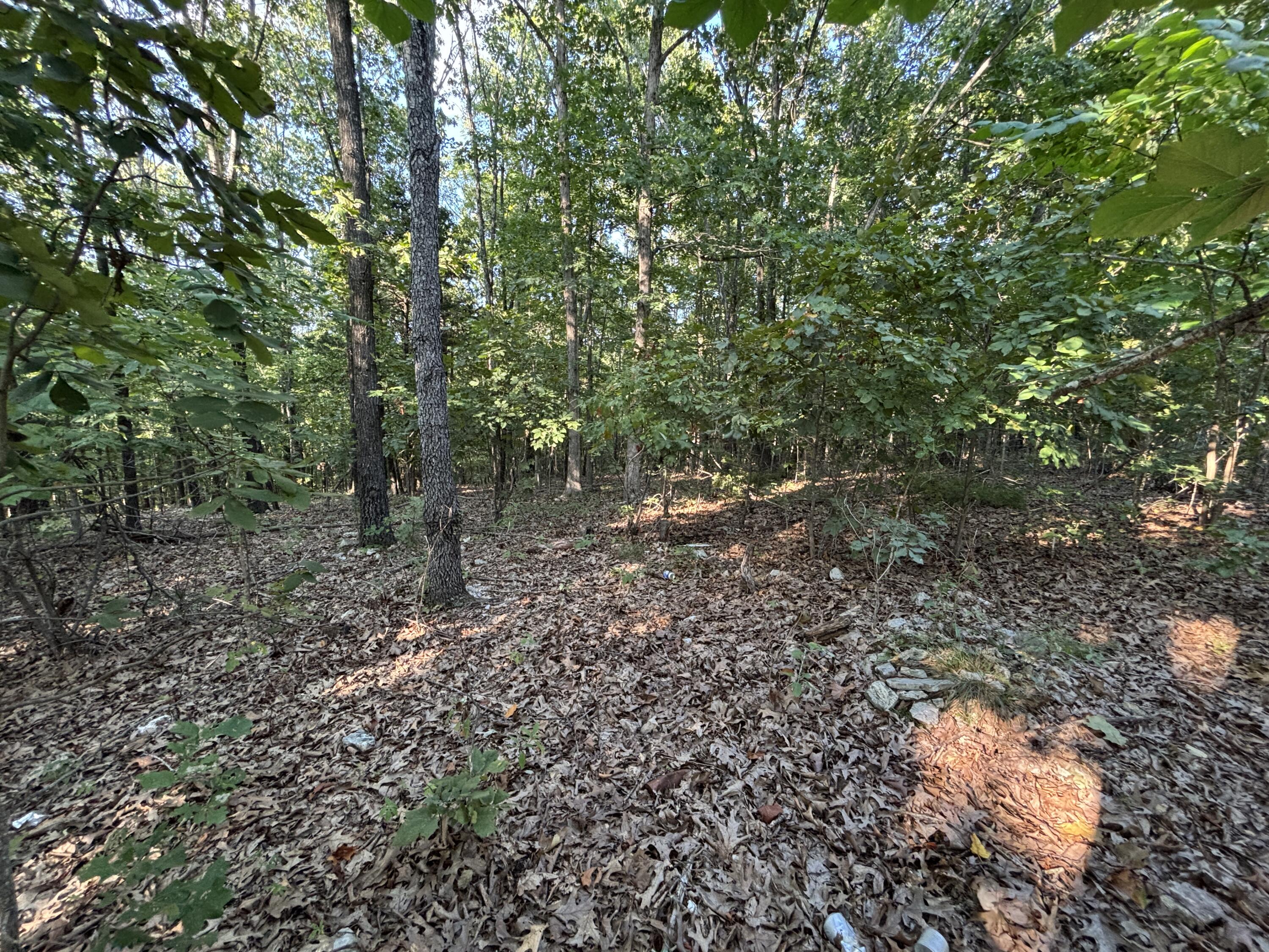 35377 County Road W-264 Property Photo 9