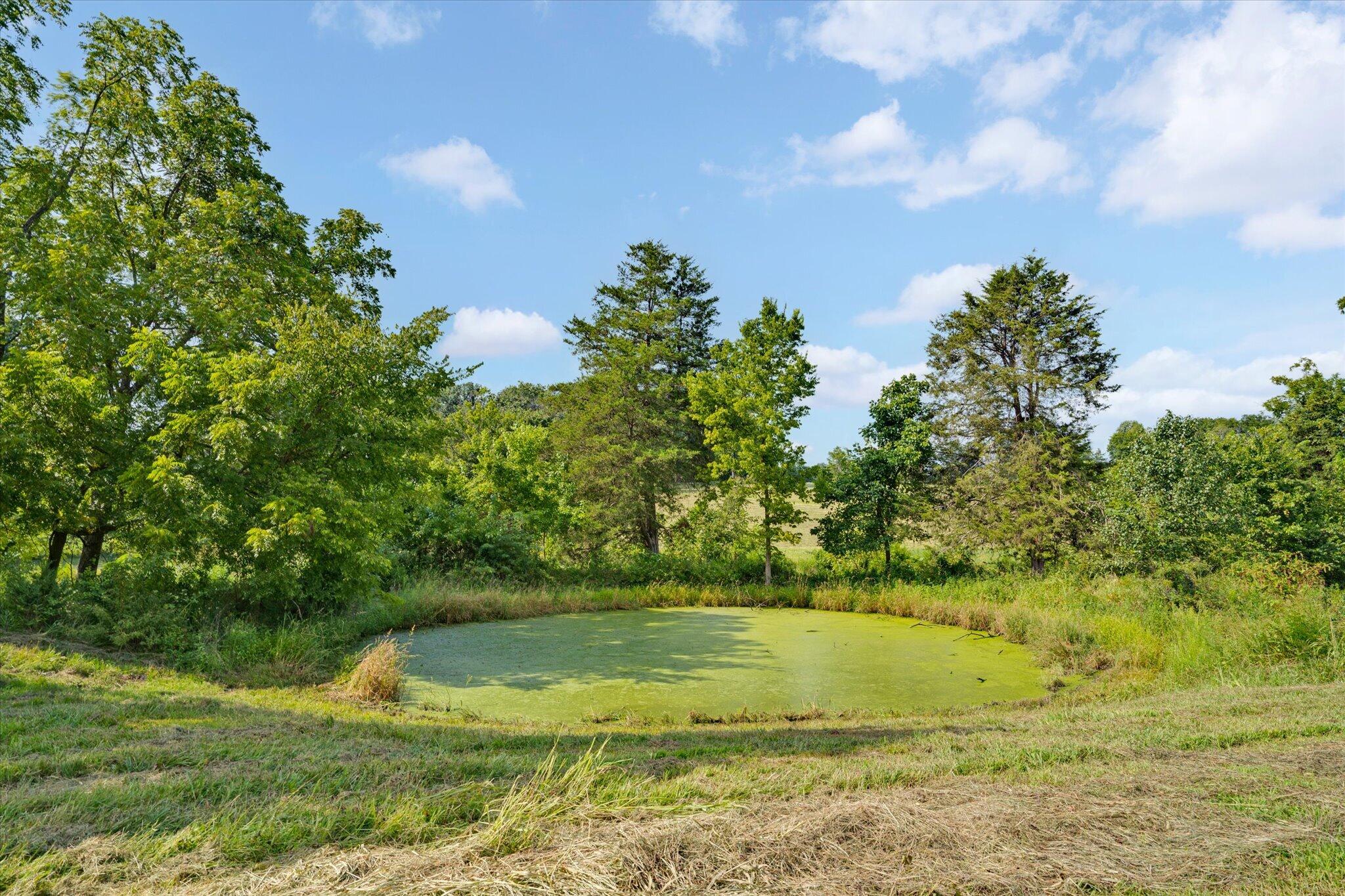 1337 West Rosedale Road Property Photo 56