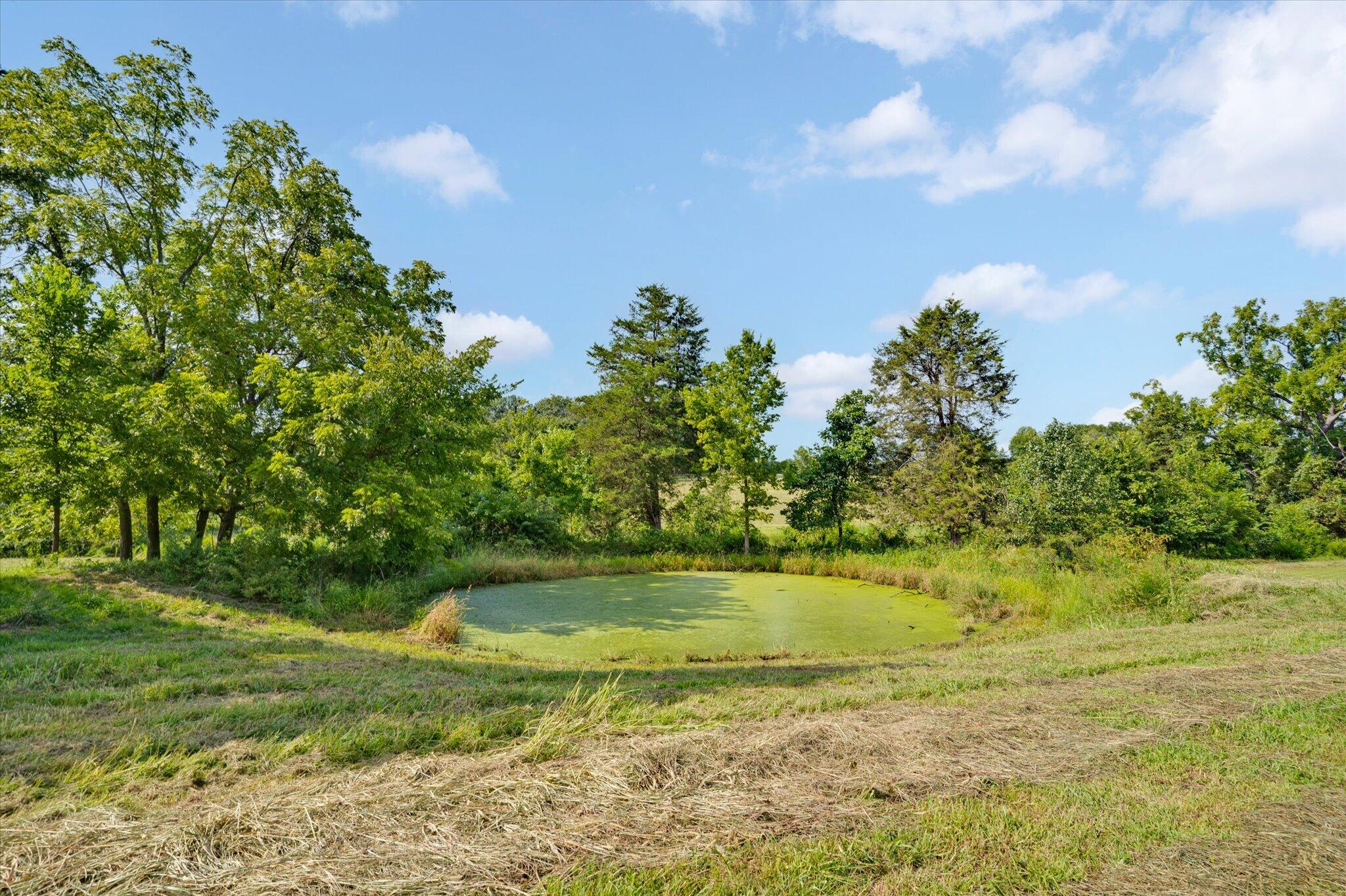 1337 West Rosedale Road Property Photo 57