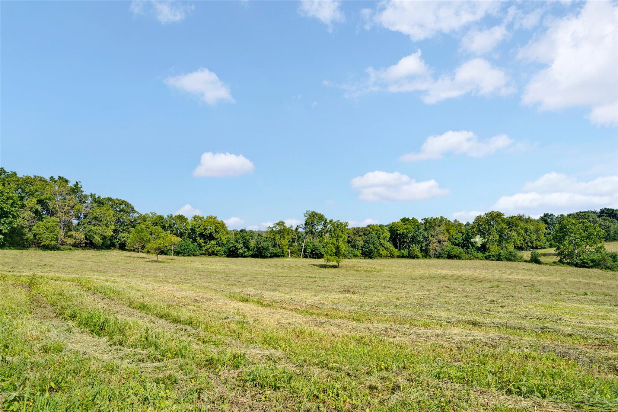1337 West Rosedale Road Property Photo 62