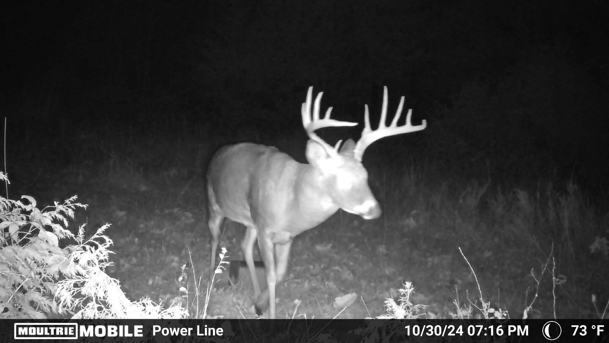 5000 Sanders Drive Property Photo 68