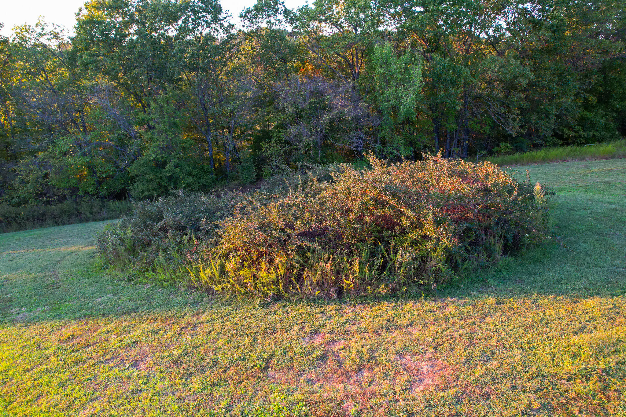 174 Last Resort Road Property Photo 17