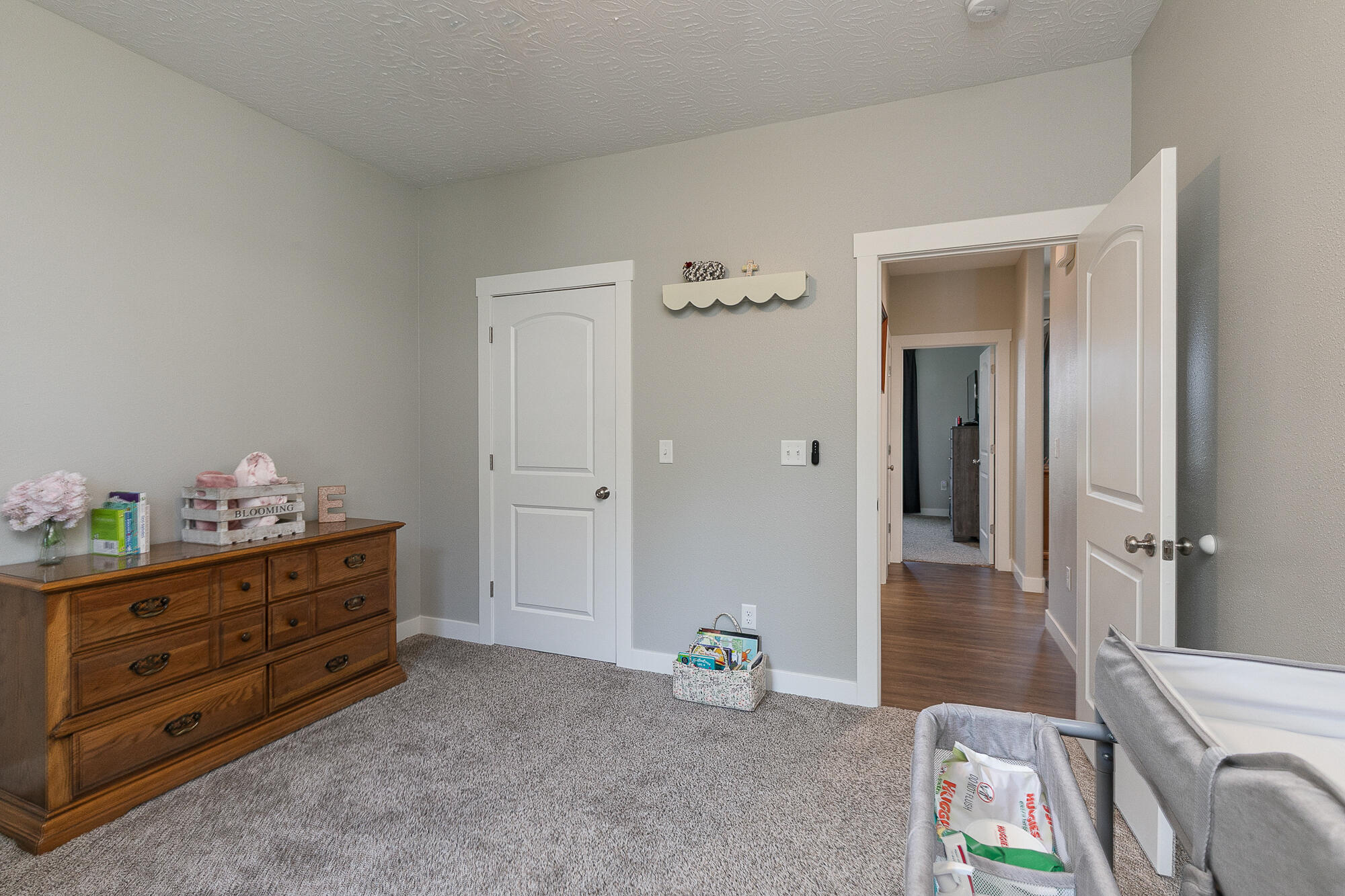 2460 Durango Drive Property Photo 20