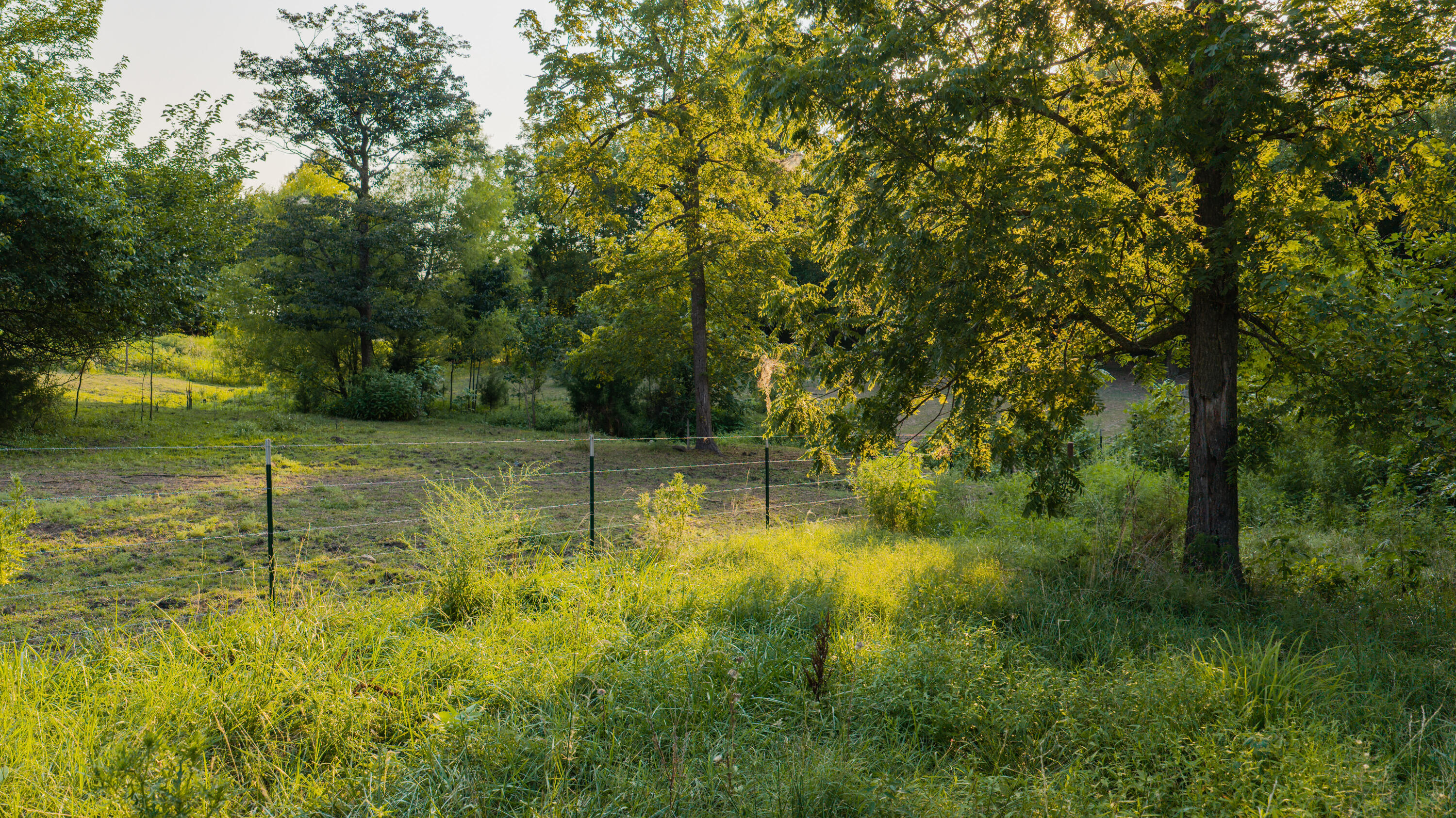 643 Route Ff Property Photo 70