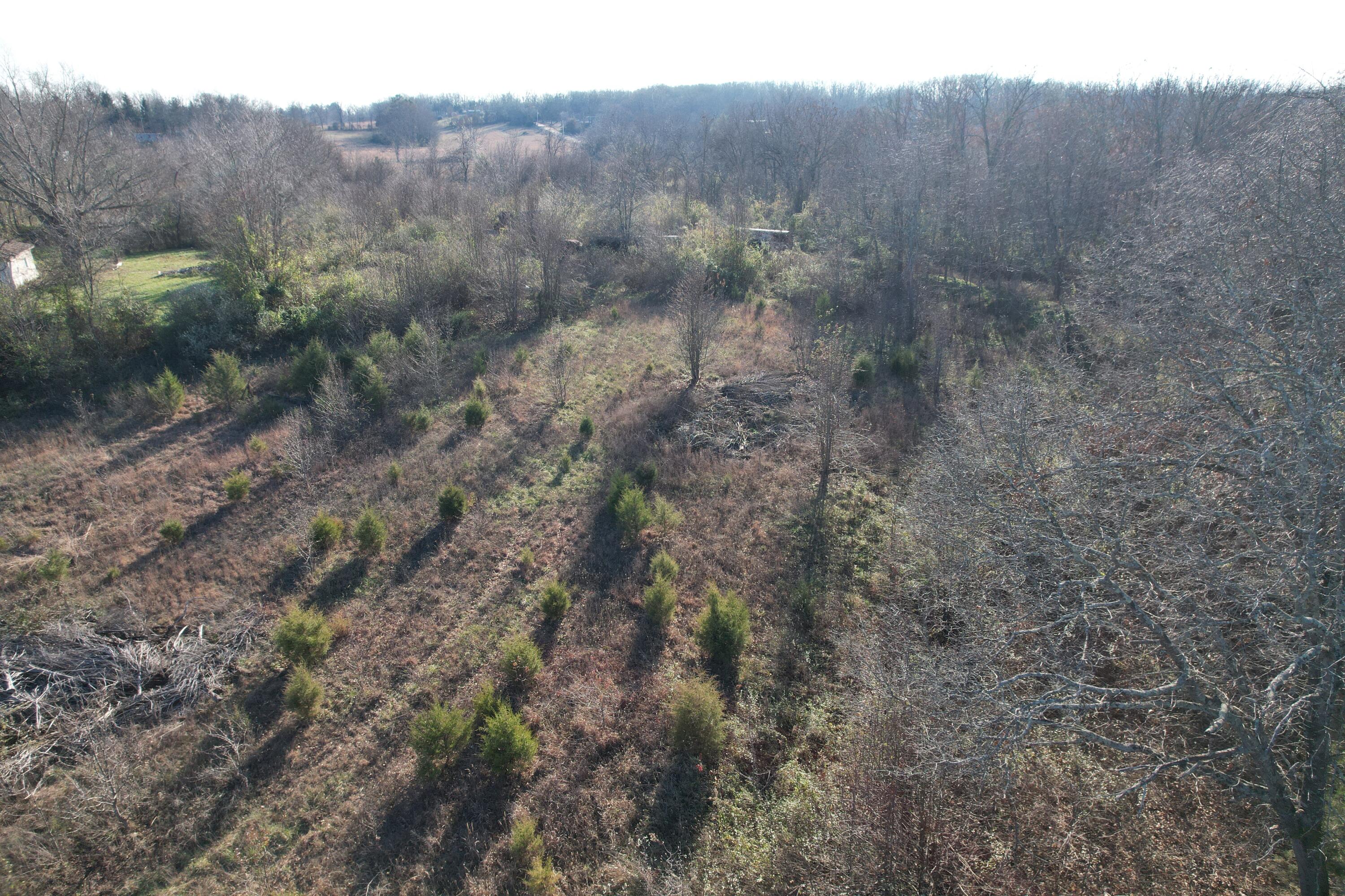 000 Highway 63 Property Photo 19