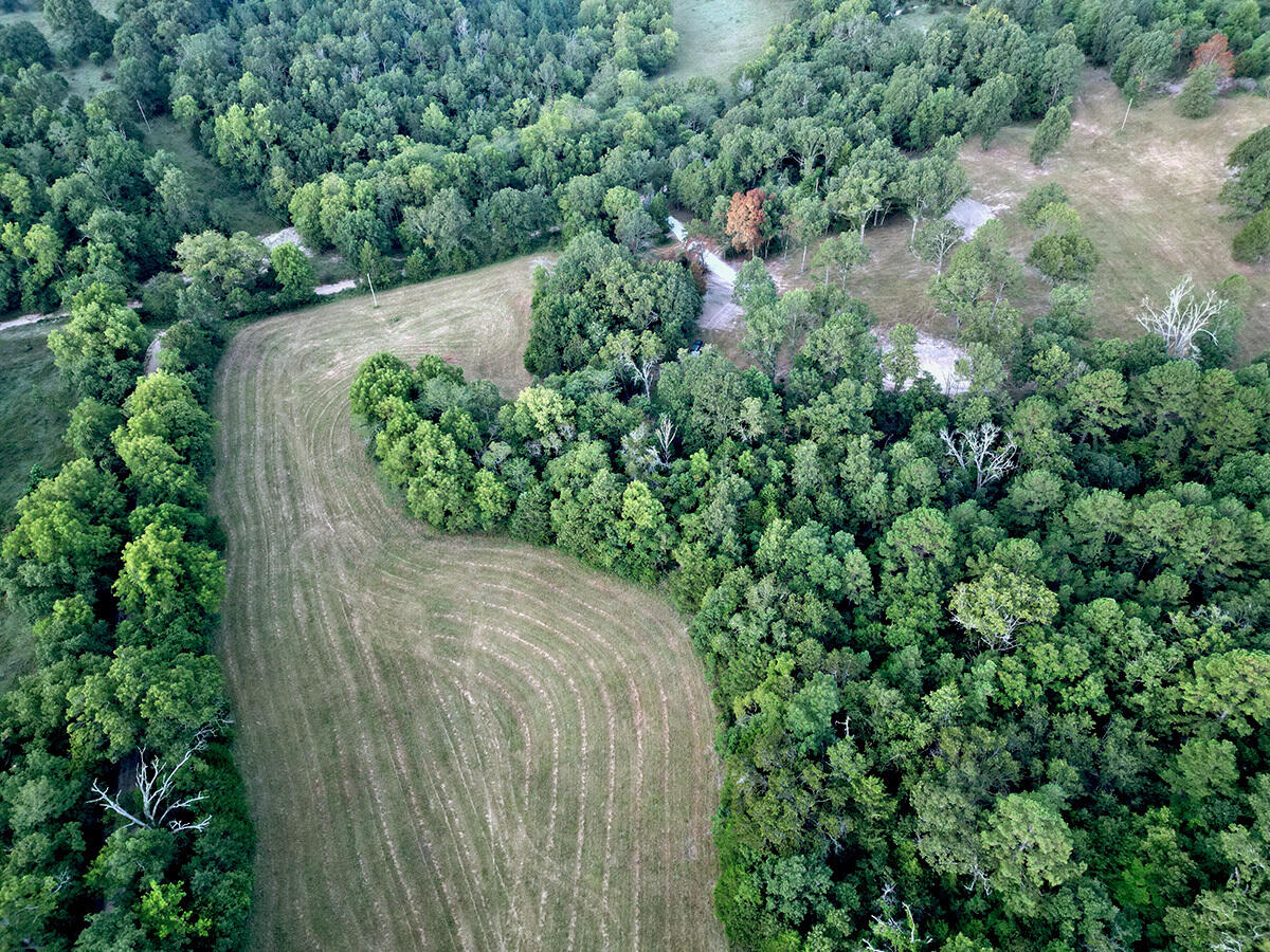 0 County Road 235 Property Photo 4