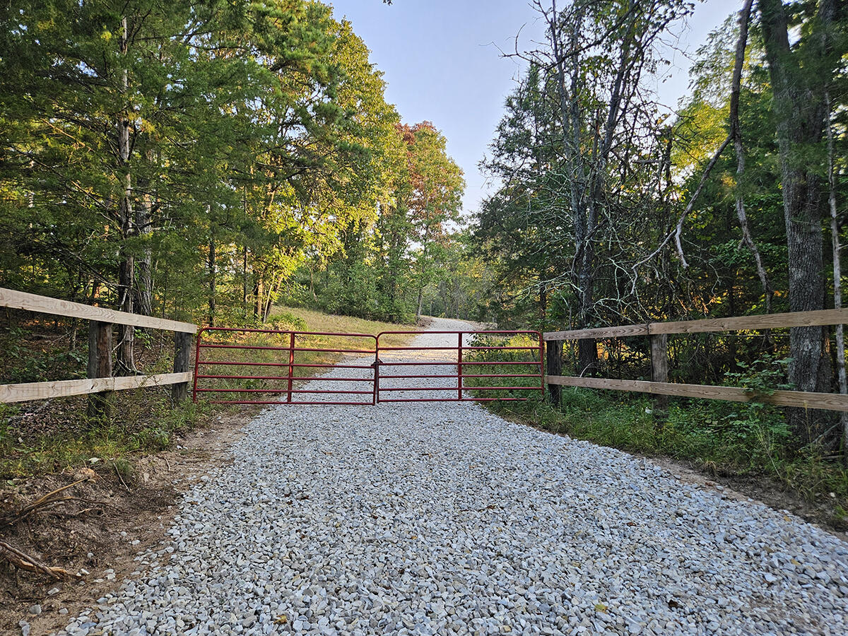 0 County Road 235 Property Photo 6
