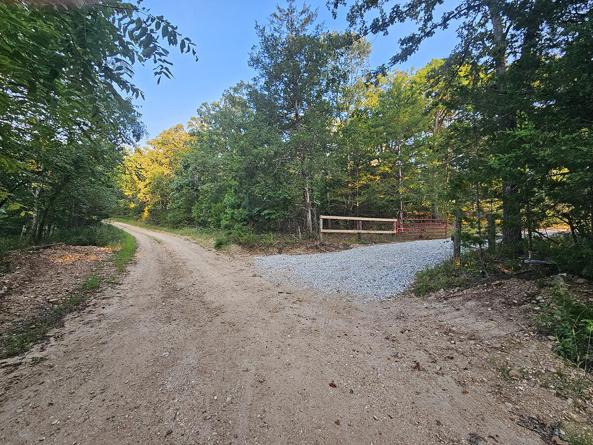 0 County Road 235 Property Photo 8