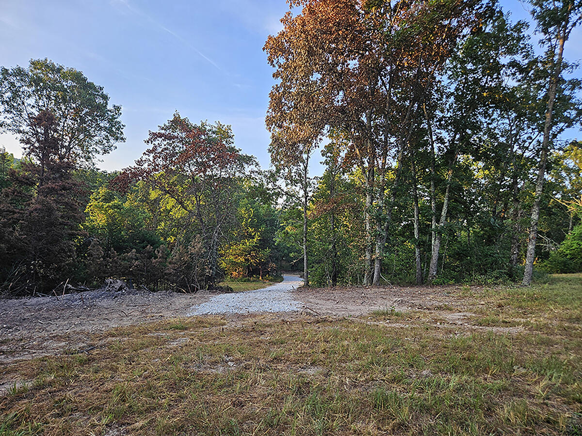 0 County Road 235 Property Photo 9