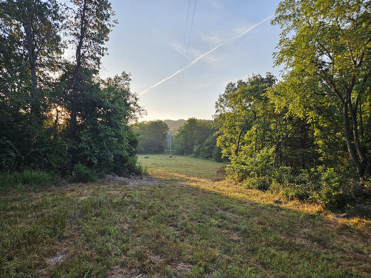 0 County Road 235 Property Photo 12