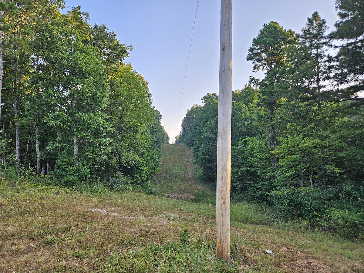 0 County Road 235 Property Photo 16