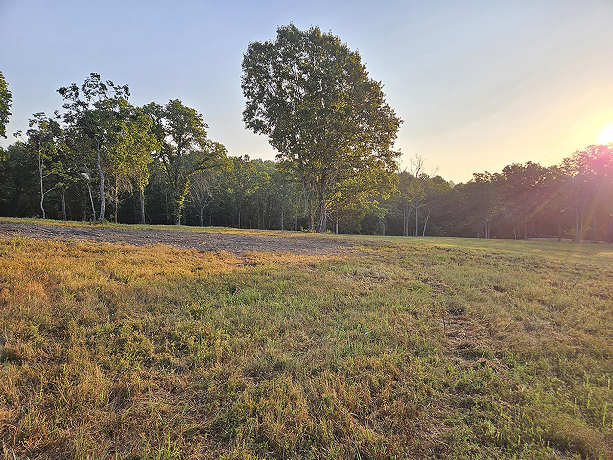 0 County Road 235 Property Photo 21
