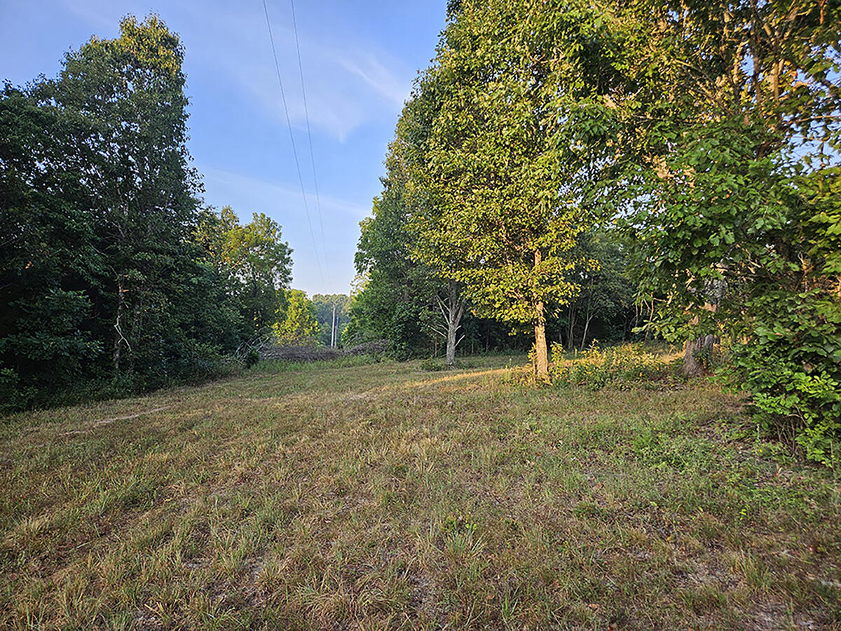 0 County Road 235 Property Photo 23