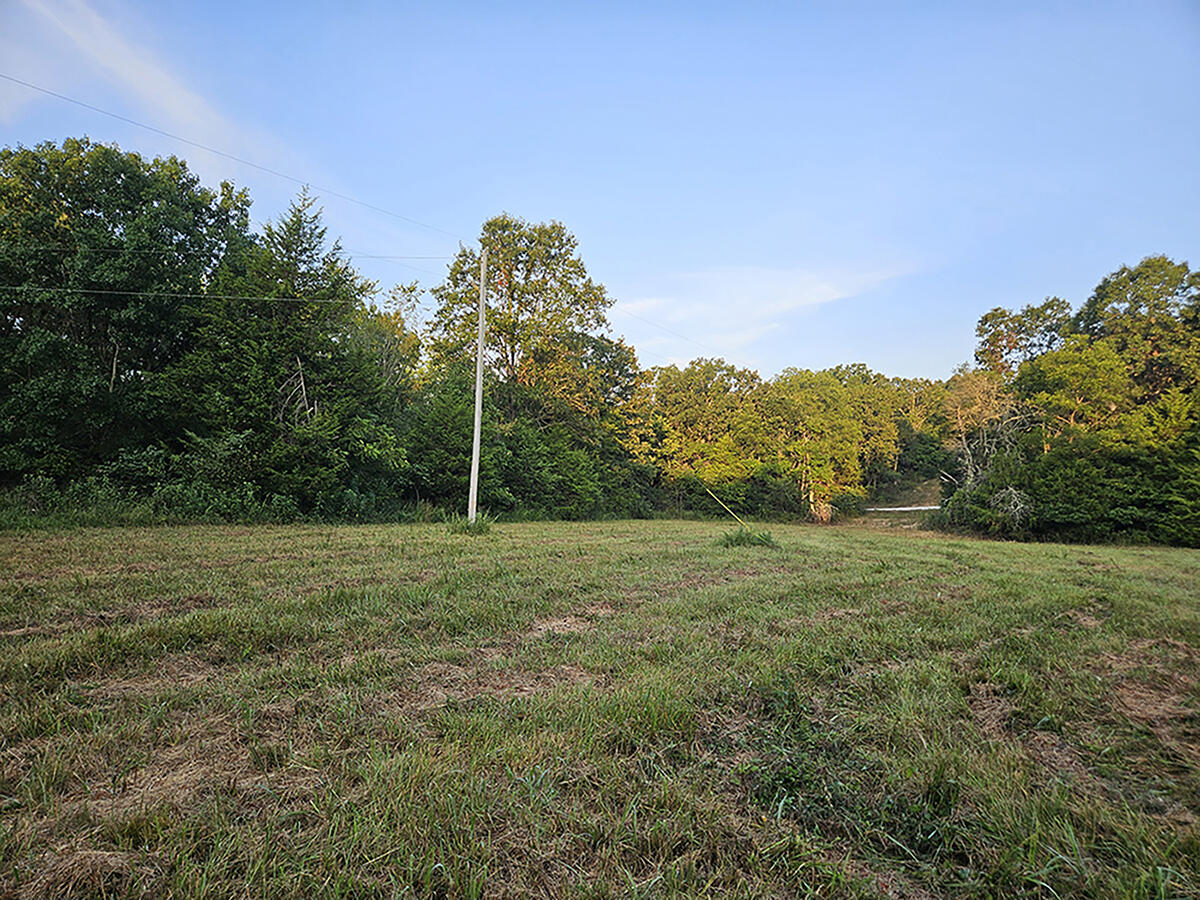0 County Road 235 Property Photo 24