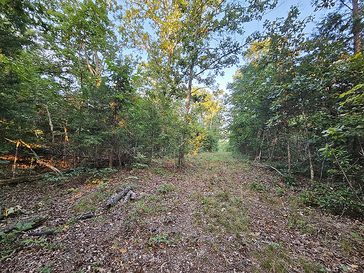 0 County Road 235 Property Photo 26