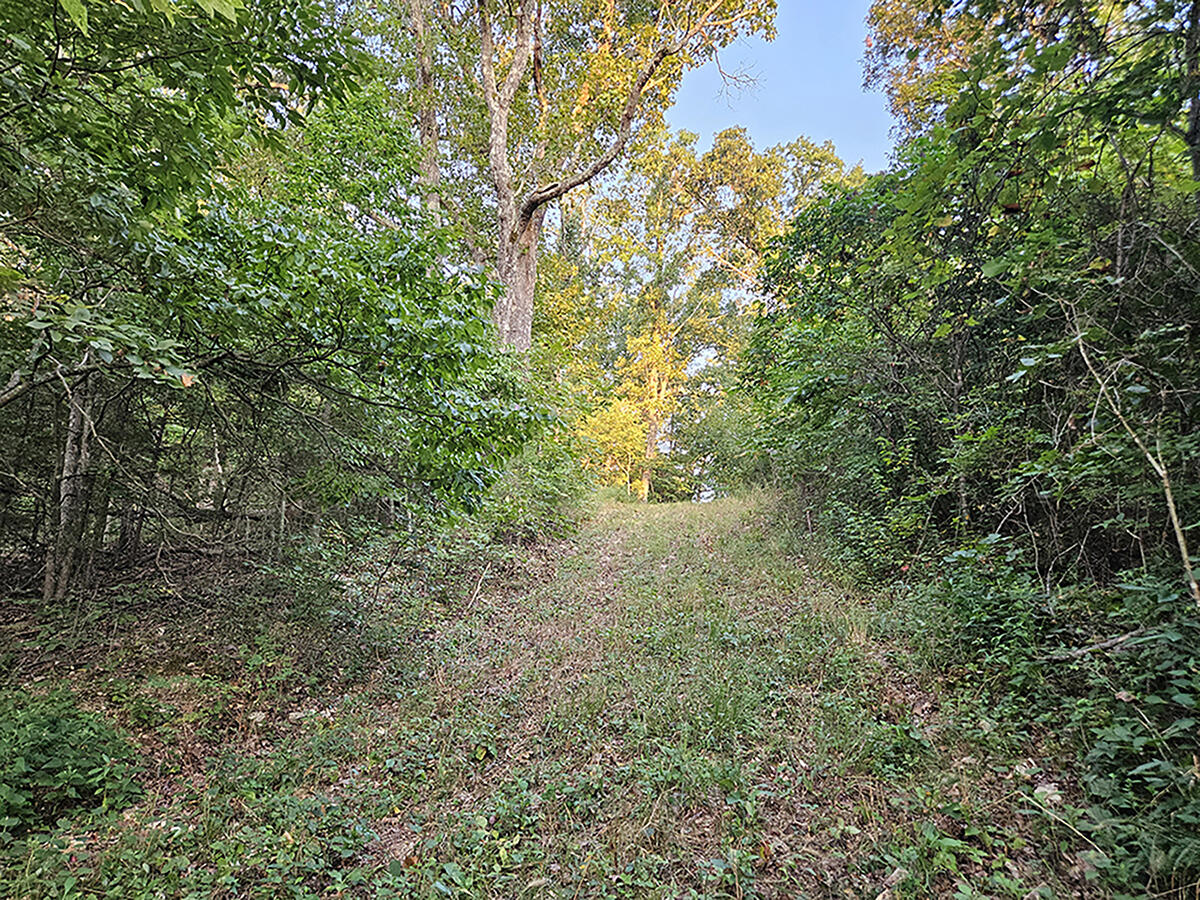 0 County Road 235 Property Photo 29