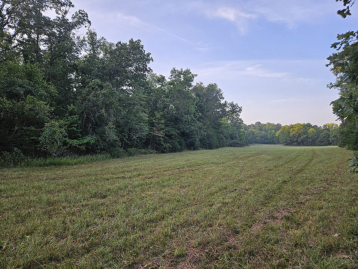 0 County Road 235 Property Photo 30