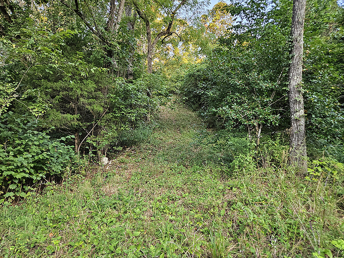 0 County Road 235 Property Photo 31