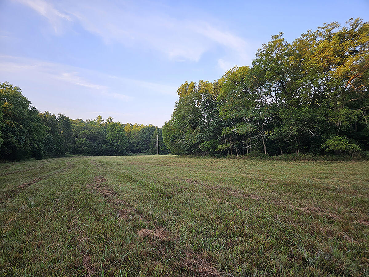 0 County Road 235 Property Photo 32