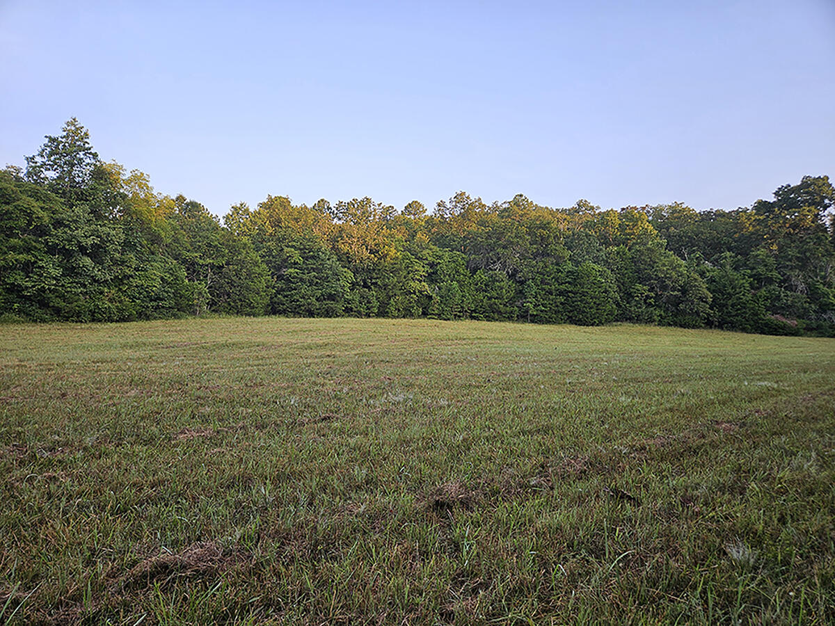 0 County Road 235 Property Photo 33