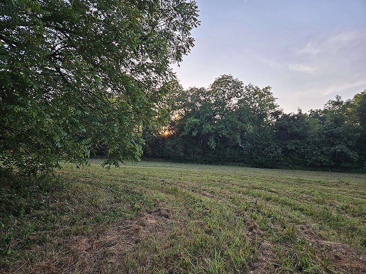 0 County Road 235 Property Photo 34