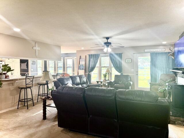 3183 State Highway Mm Property Photo 22