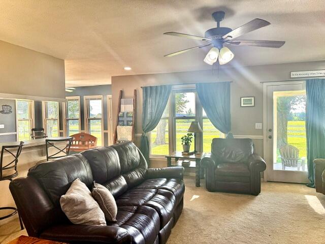 3183 State Highway Mm Property Photo 23