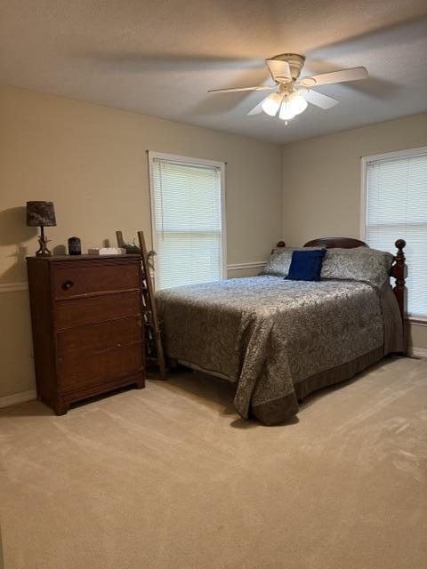 3183 State Highway Mm Property Photo 39