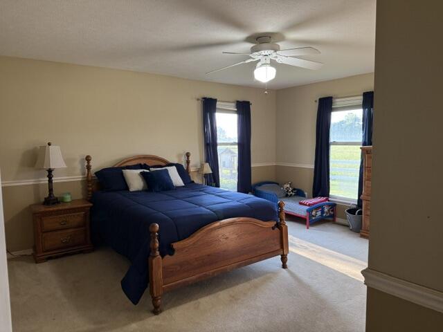 3183 State Highway Mm Property Photo 41