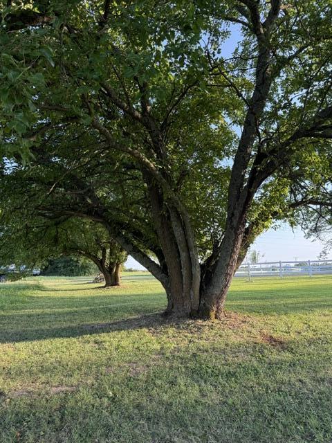 3183 State Highway Mm Property Photo 48