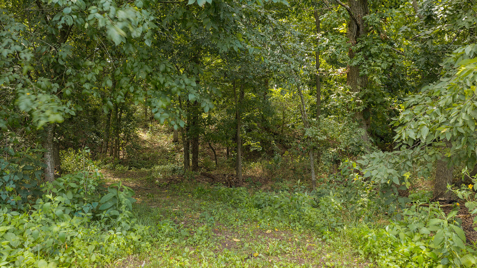 4164 South 77th Road Property Photo 82