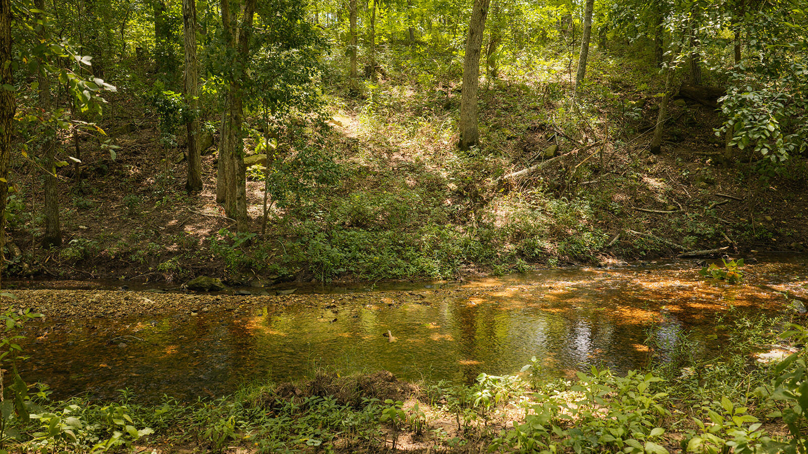 4164 South 77th Road Property Photo 83