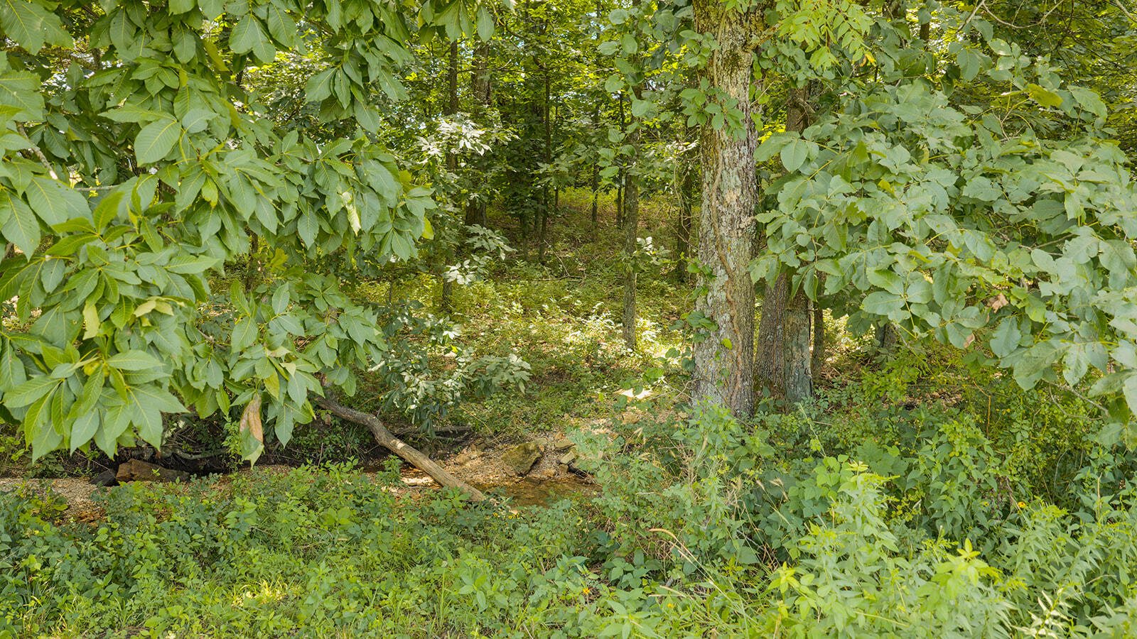 4164 South 77th Road Property Photo 87