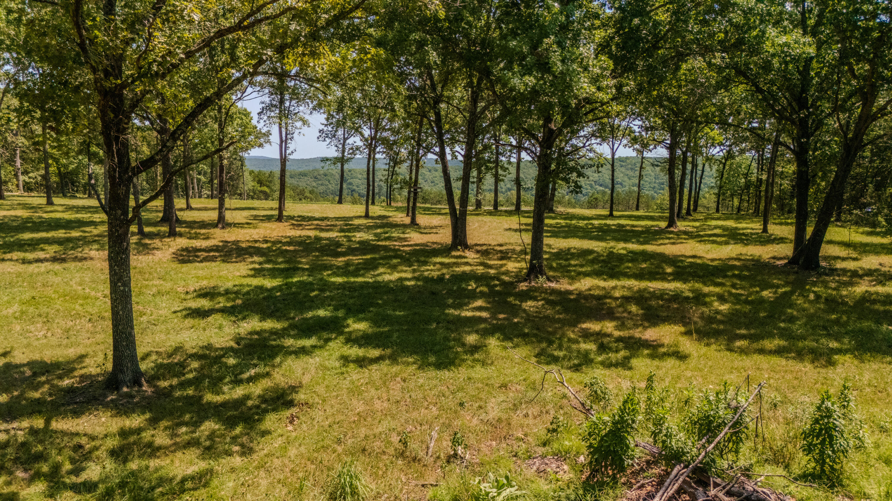 590 M-90a Property Photo 21