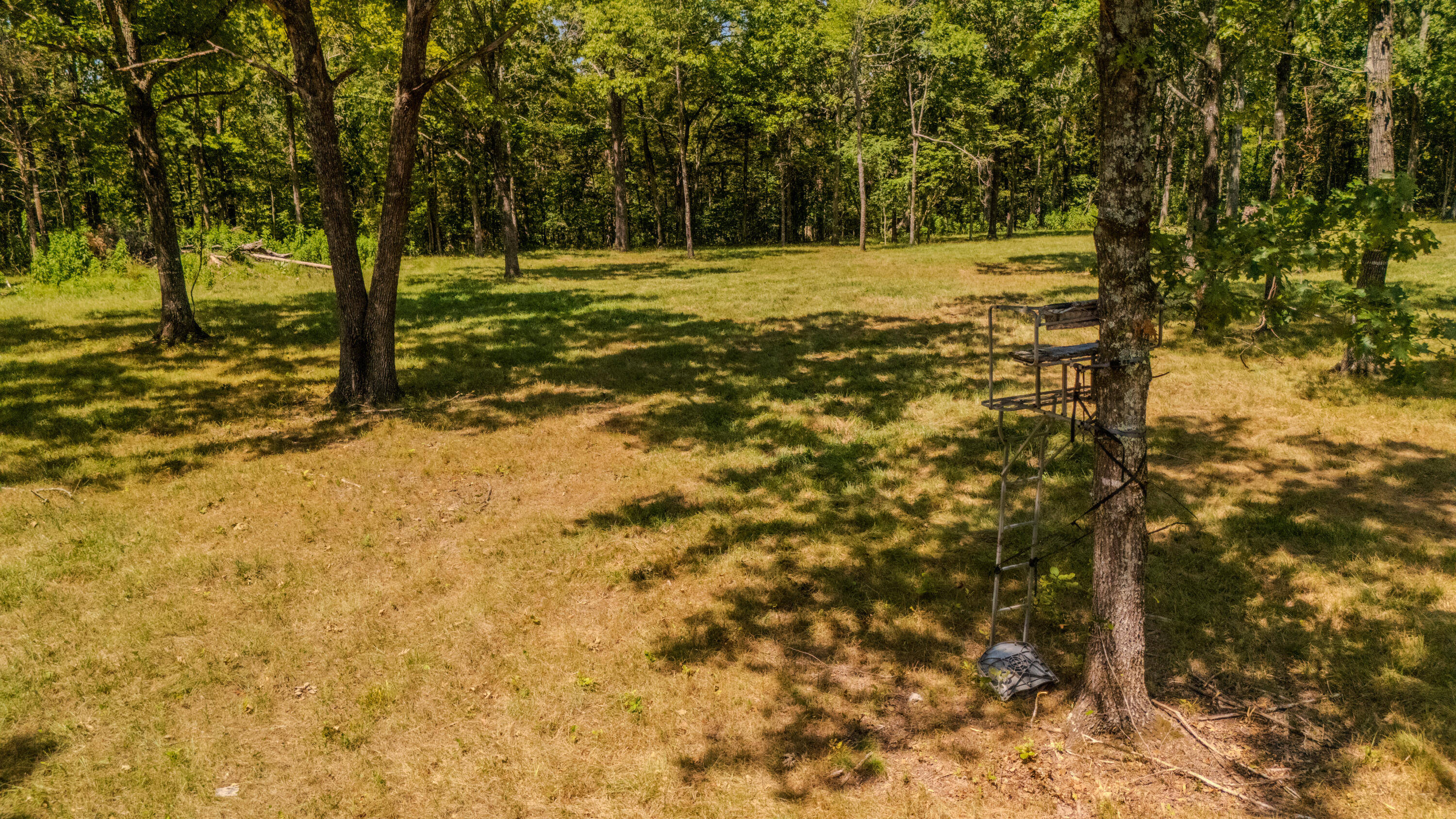 590 M-90a Property Photo 23