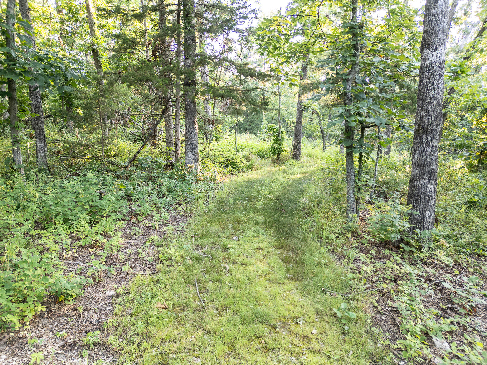 Tbd Canfield Lane Property Photo 2