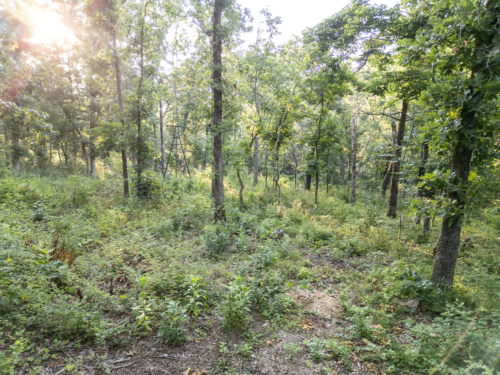 Tbd Canfield Lane Property Photo 3