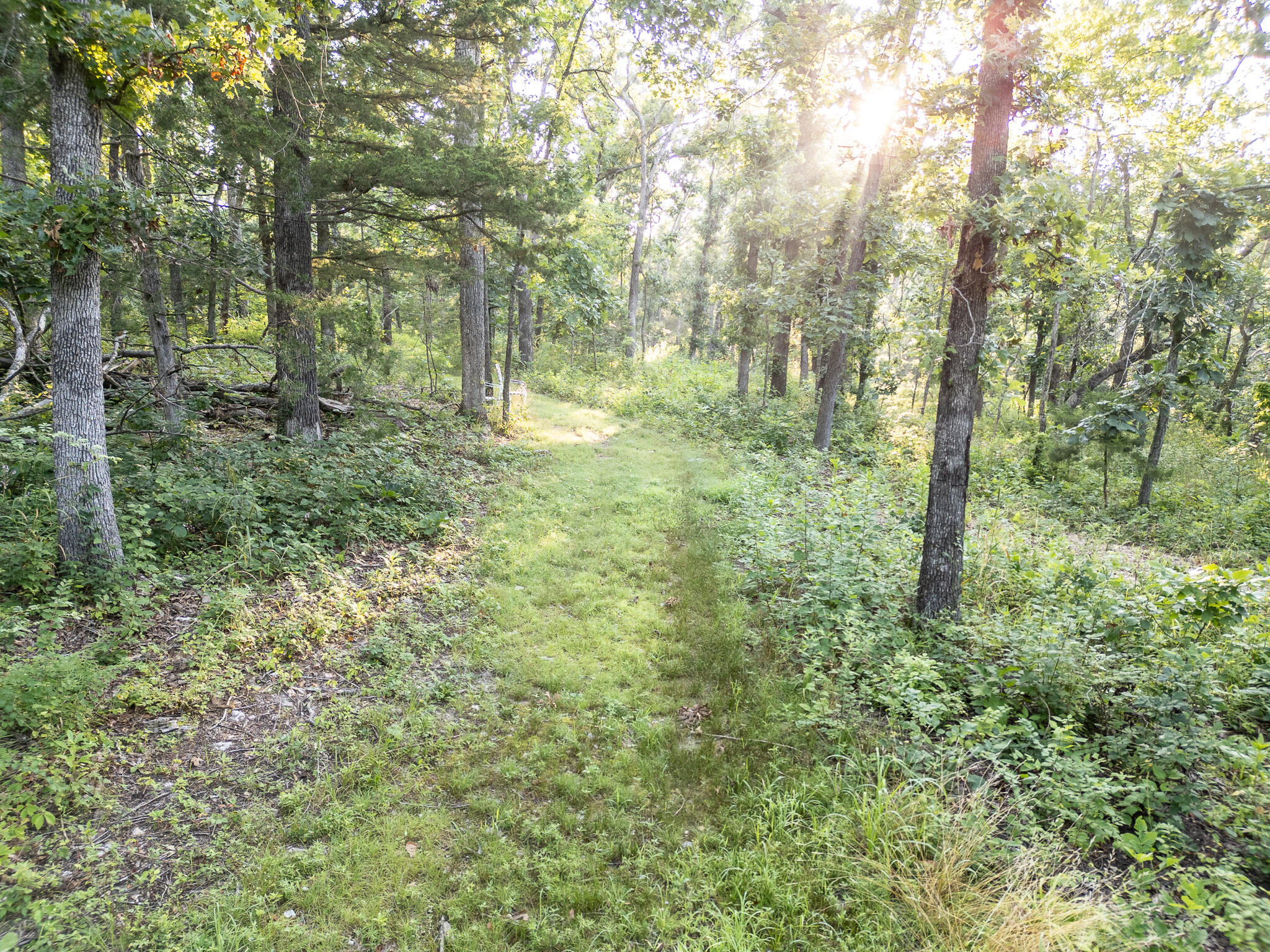 Tbd Canfield Lane Property Photo 4