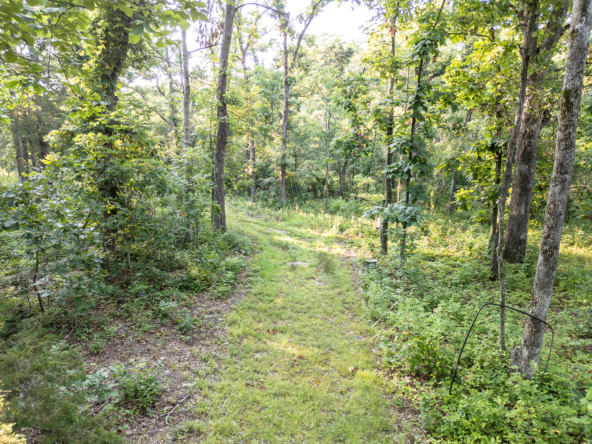 Tbd Canfield Lane Property Photo 5
